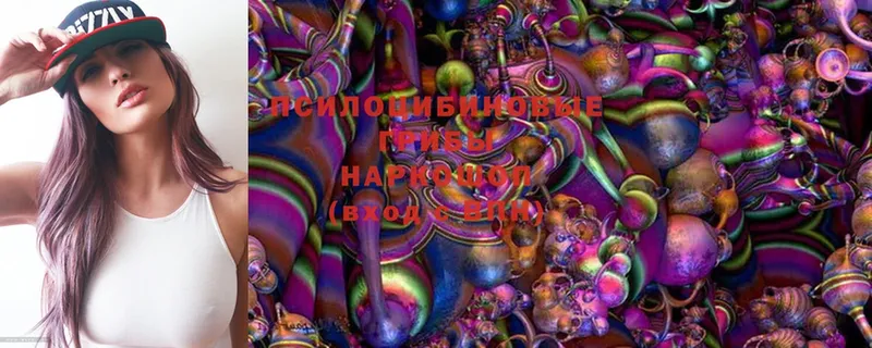 Галлюциногенные грибы MAGIC MUSHROOMS  Москва 